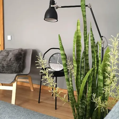 Entire Apartament In A Quiet Part Of City Center 리가